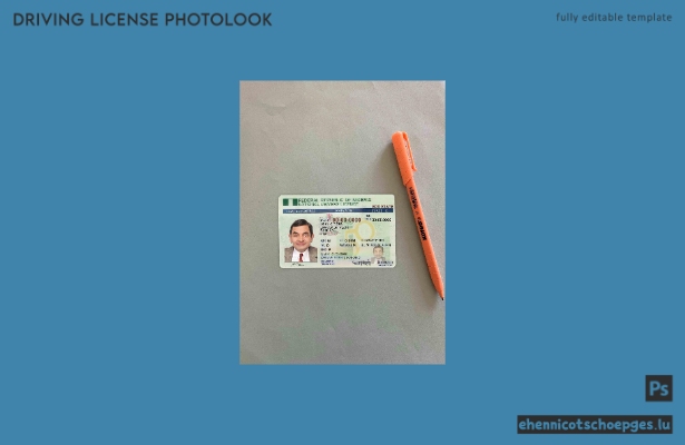 Vorschau der Fotoansicht des nigerianischen Führerscheins
